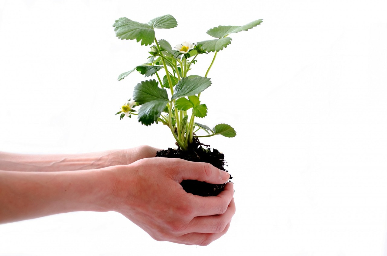 Why Choose Eco-Friendly Products?