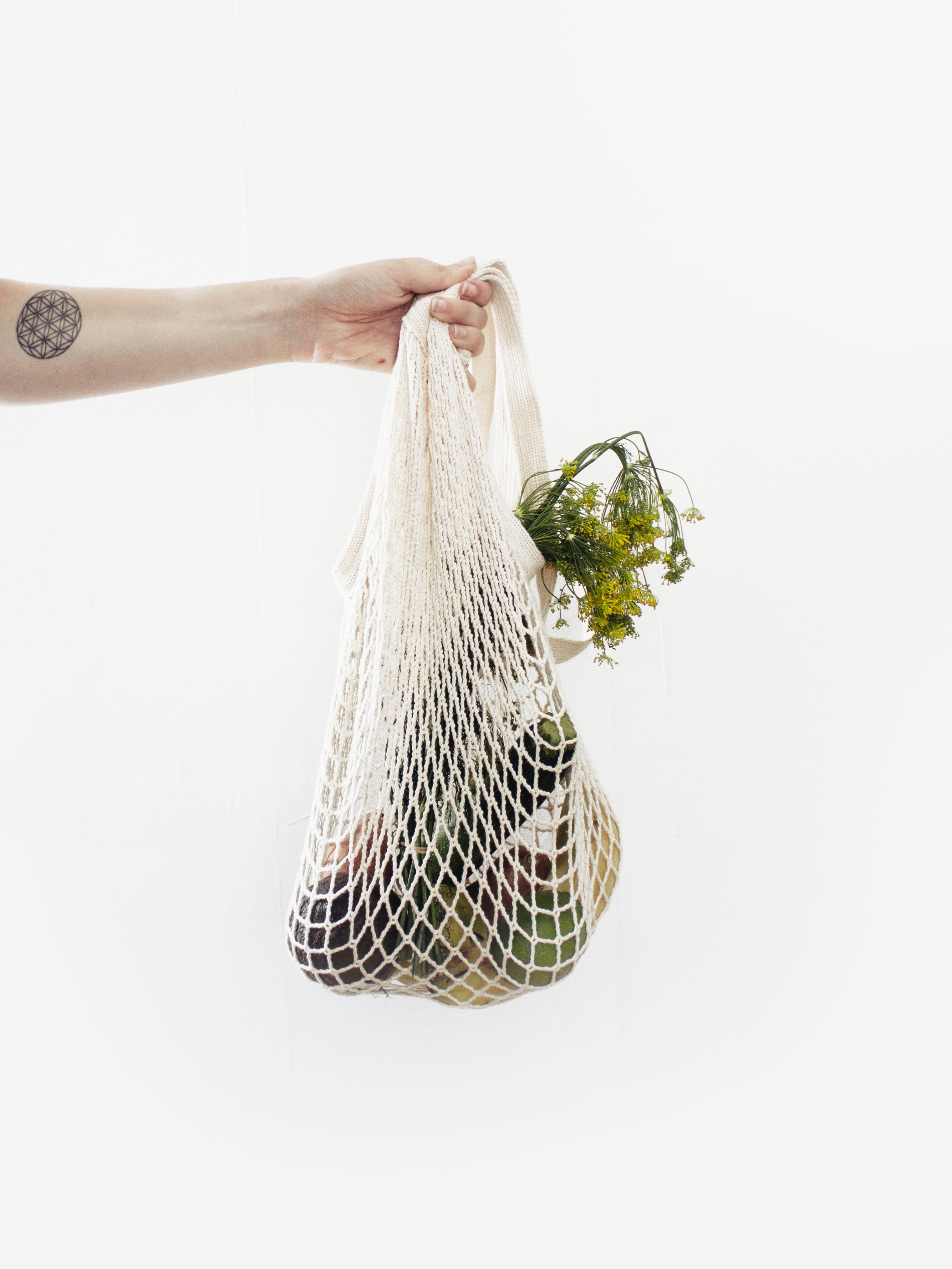 ¿Quiénes son los plasticarianos?